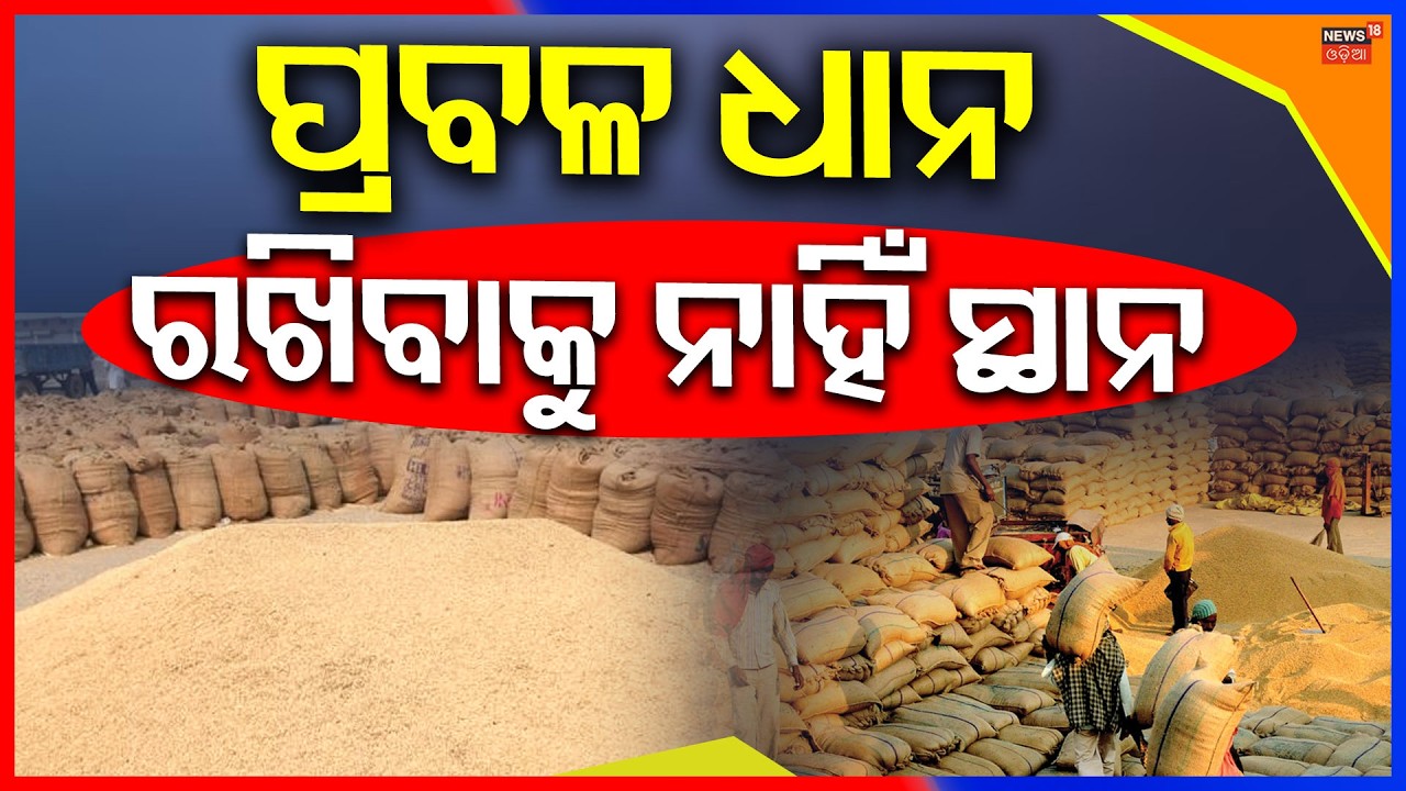 ପ୍ରବଳ ଧାନ ରଖିବାକୁ ନାହିଁ ସ୍ଥାନ | Paddy Production | OdishaFarmers | Cm Mohan Majhi | Odia News