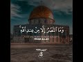 ٢٣ أغسطس، ٢٠٢٣