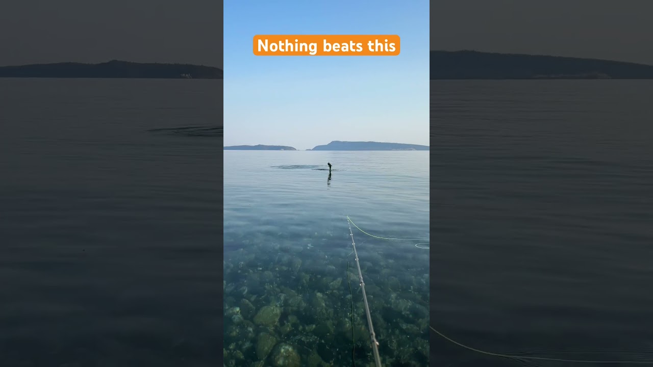 Vancouver Island at it’s finest 