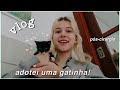 vlog: cirurgia & adotei uma gatinha!!!! 🐱
