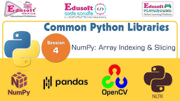 Common Python Libraries - NumPy Arrays: Indexing and Slicing