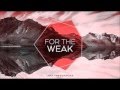 Lost Frequencies - Sleep/For the weak (lyrics)