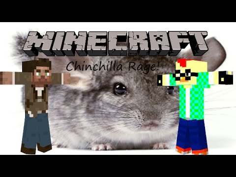 minecraft chinchilla