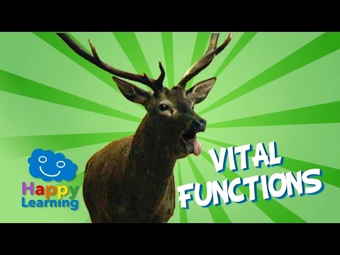 Vital Functions of Living Things | Educational Video for Kids