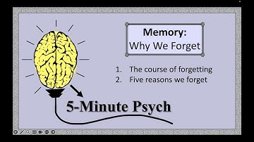 Why We Forget