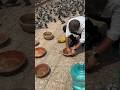 Lets help them fight this heat humanity birds shorts shortshort subscribe