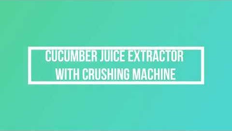 Cucumber Juice Extractor with Crushing Machine by Geeli Fabricators, Ahmedabad