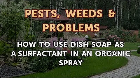 Can dishwashing liquid be used as a surfactant?