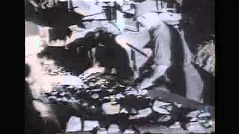 NSW government concerned by CSR sale push