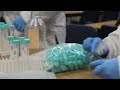 MMHS Biotechnology Feature