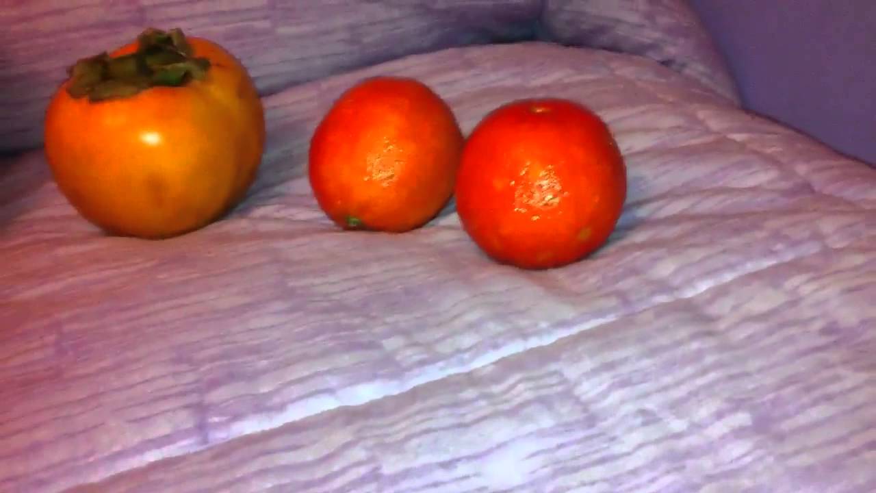 La storia di Giulio il frutti fruttivendolo YouTube