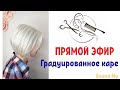 Градуированное каре. Срезы. Укладка феном.