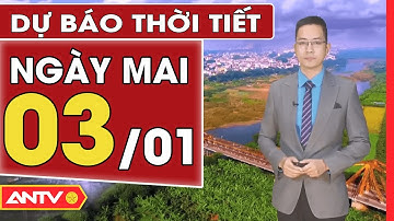 Dự báo thời tiết ngày mai 3/1: Miền Bắc trưa hửng nắng nhẹ, miền Trung bước vào đợt mưa lớn | ANTV