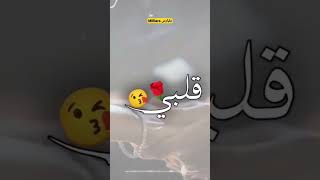 قلبي قلبي قلبي خلوها تلعب لعب بقليبي تستهال