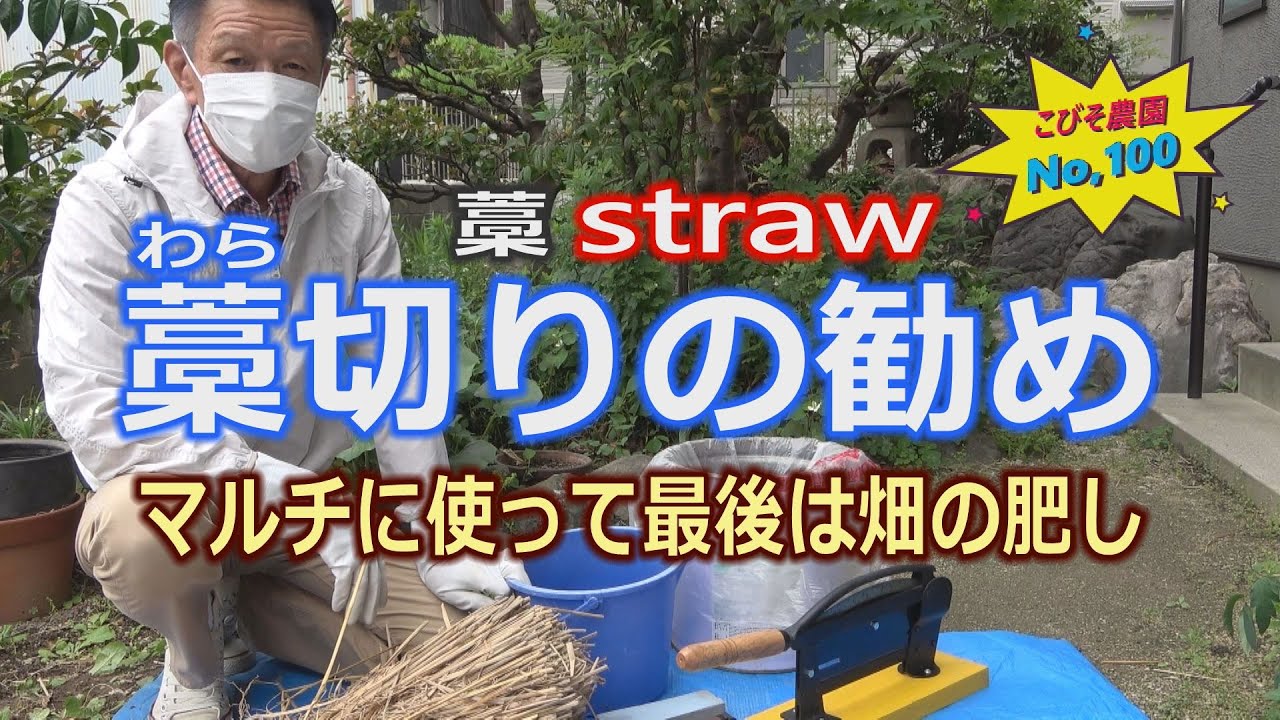 畑に切りワラどうですか maxresdefault.jpg
