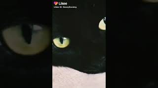 Baştaki Çok Korkunç