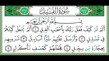 105 سورة الفيل  الشيخ أيمن رشدي سويد