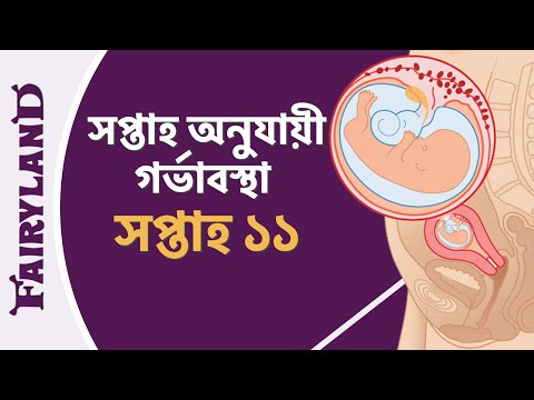 গর্ভাবস্থার এগারোতম সপ্তাহ | সপ্তাহ অনুযায়ী গর্ভাবস্থা | সপ্তাহ ১১