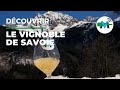  la dcouverte du vignoble de la savoie