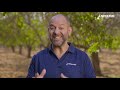 AgroBites- Irrigation Scheduling | Netafim