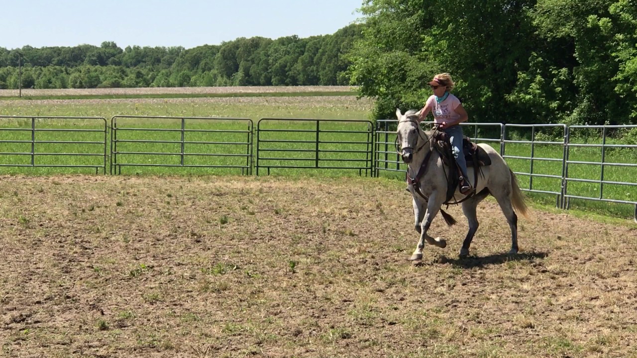 tim boyer may clinic2017 copy