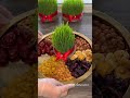 Novruz Xon莽as谋 Novruz Novruzbayrami Novruz Xon莽as谋 Novruz Novruzbayrami