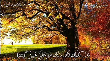 حالات واتساب سورة مريم القارئ وليد ابراهيم _21_24_ HD