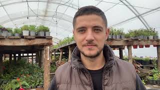 видео: Мои главные ошибки в тепличном бизнесе. Делюсь НЕуспехами и неудачами. картинка: Мои главные ошибки в тепличном бизнесе. Делюсь НЕуспехами и неудачами.