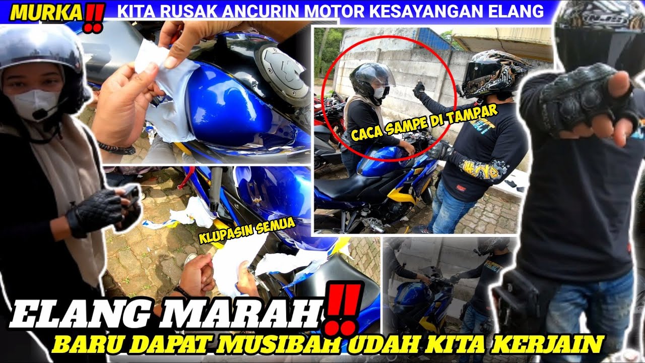 ELANG NANGIS ❗TEMEN GEMBLUNG BARU DAPAT MUSIBAH LANGSUNG DI KERJAIN