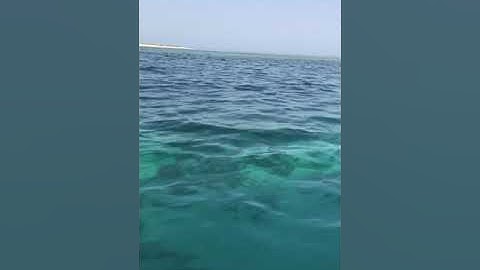 ﴿يا أَيُّهَا الَّذينَ آمَنُوا اتَّقُوا اللَّهَ وَابتَغوا إِلَيهِ الوَسيلَةَ .....) سورة المائدة