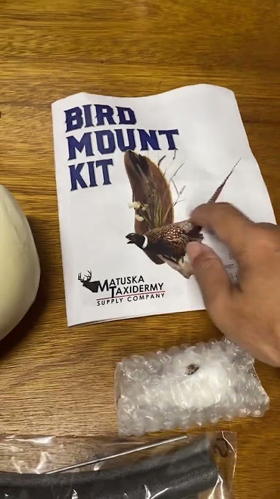 Matuska Taxidermy Pheasant Kit Unboxing 2024