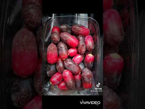 خيرات بلادي