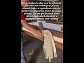 The Art of Precision: Shaving Rubber Strips with a Curved Skiving Blade