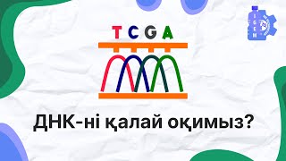 картинка: Сэнгер  әдісі