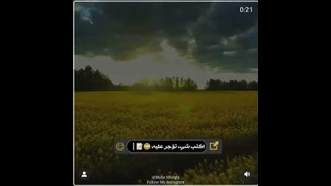 القران الكريم الشيخ د. ماهر المعيقلي راحه نفسيه🤍