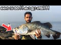 6 കിലോ ഉള്ള കിടിലൻ കാളാഞ്ചി പിടുത്തം | Barramundi fishing kerala and cooking