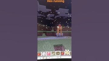 the camel 🐫  is broken in the pre look of minecraft 1.20