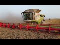 Żniwa Pszeniczne w Rumuni 2023 X5 Claas Lexion