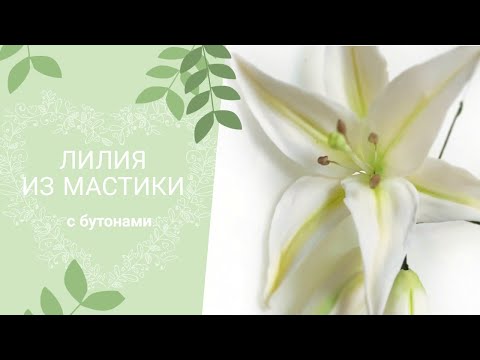 Как сделать лилии из мастики в домашних условиях