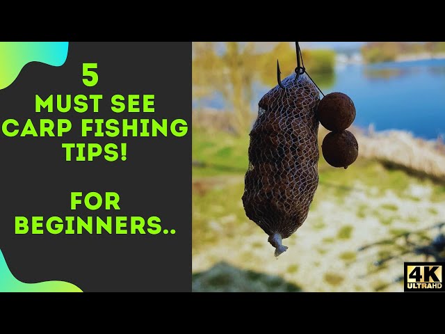 5 Essential Carp Fishing Tips For Beginners