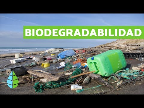 BIODEGRADABILIDAD de los MATERIALES - Productos BIODEGRADABLES