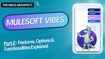 ✅MuleSoft Vibes (Part 2): Features, Options and Functionalities explained