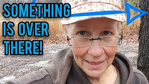 Something is Over There! - Ann's Tiny Life and Hom...