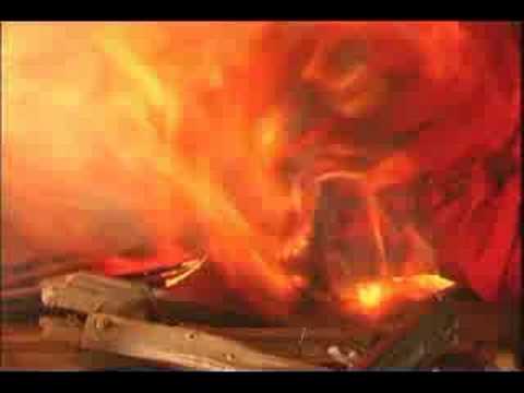The Fire Yogi of Tanjore