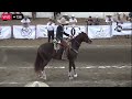 AMAZONAS 3er Lugar del Pre Futurity Profesional en Apaseo, Gto. Montada por Cuco Raya