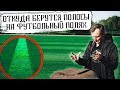 Вся правда про полосы на полях. Откуда берутся полосы на газоне