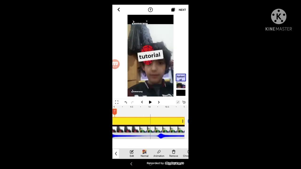 how to get tutorial on zoomerang (LYahyaL) YouTube