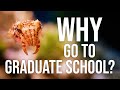 Why go to graduate school? | Real World Science