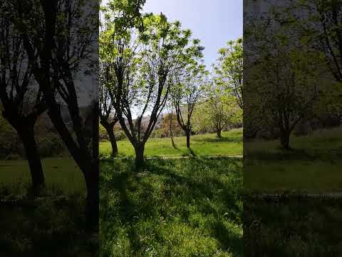 الموت ليس هو الخسارة الكبرى وإنما الخسارة الأكبر مايموت فينا ونحن أحياء محمد الماغوط