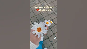 حالات ورود النرجس 